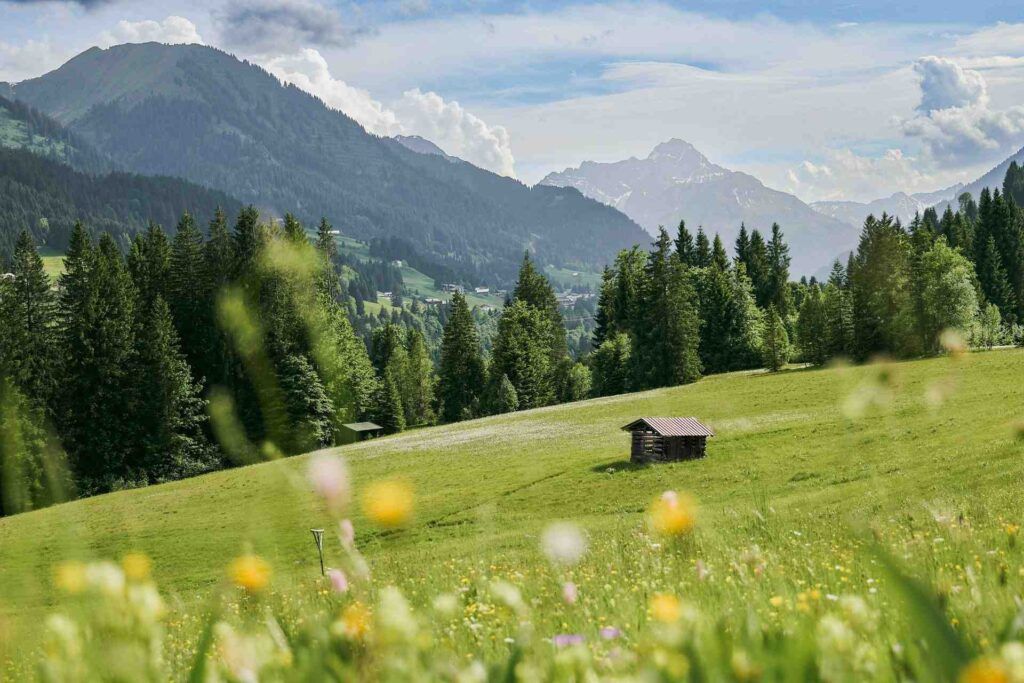 Vista su una montagna verde in Svizzera.